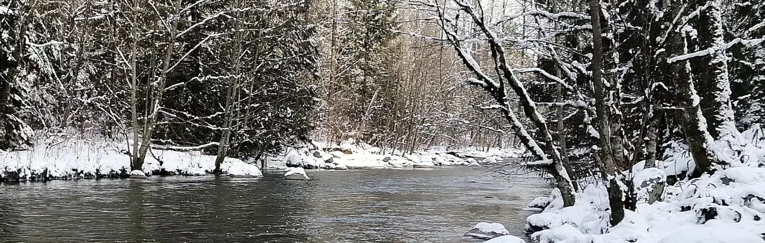 5 Simple Questions to Test Generative AI Chatbots' Web Search Accuracy, Updated Version