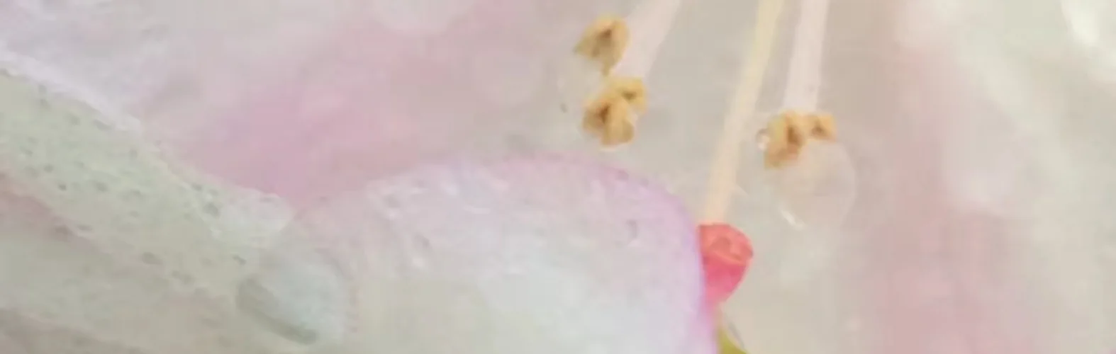 12 Canadian Vegan Chocolate Brands to Sweeten Your Valentine's Day